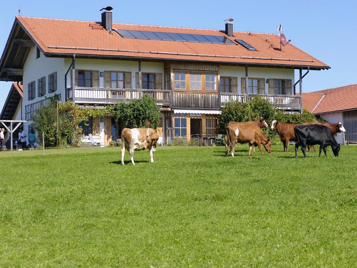 Seeleitenhof Sindelsdorf 外观 照片